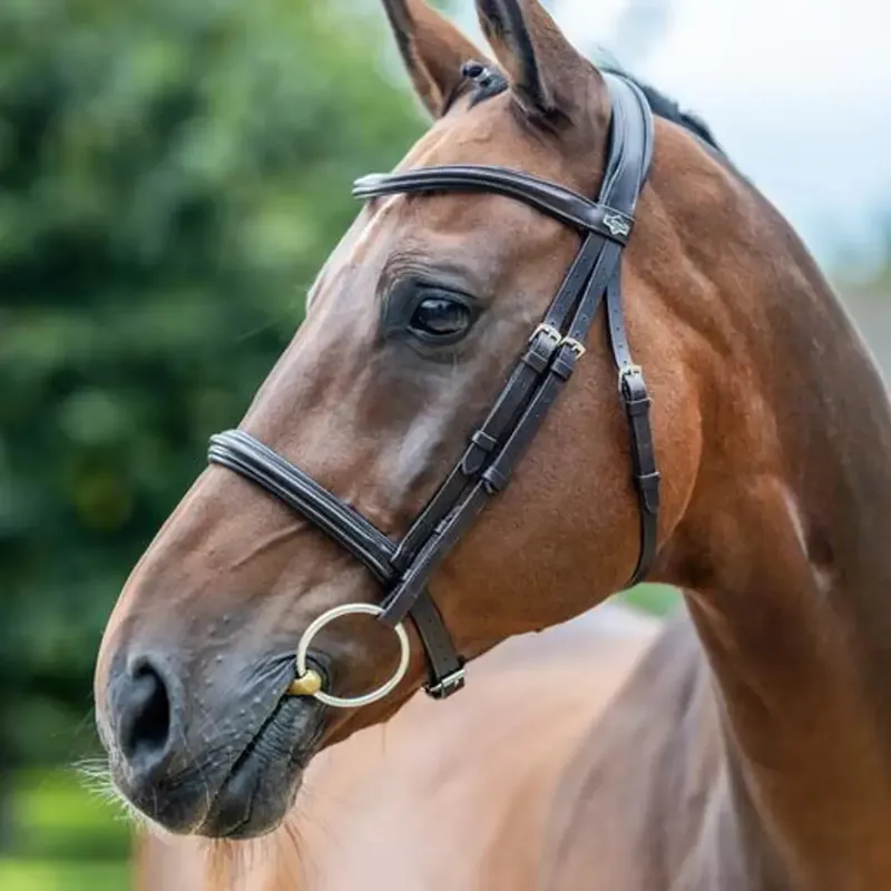 LeMieux Arika Cavesson Bridle - Brown and Silver-2
