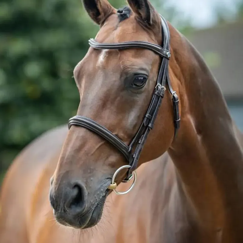 LeMieux Arika Cavesson Bridle - Brown and Silver-3