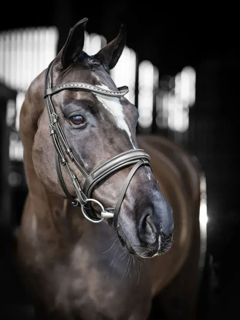 LeMieux Arika Dressage Bridle in Black and Silver-5
