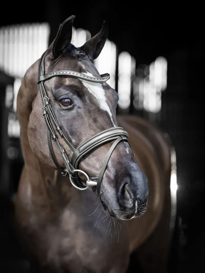 LeMieux Arika Dressage Bridle in Black and Silver-4