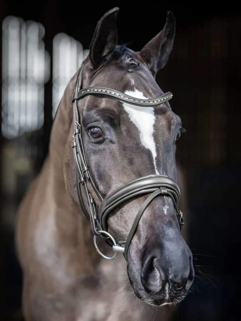 LeMieux Arika Dressage Bridle in Black and Silver-5