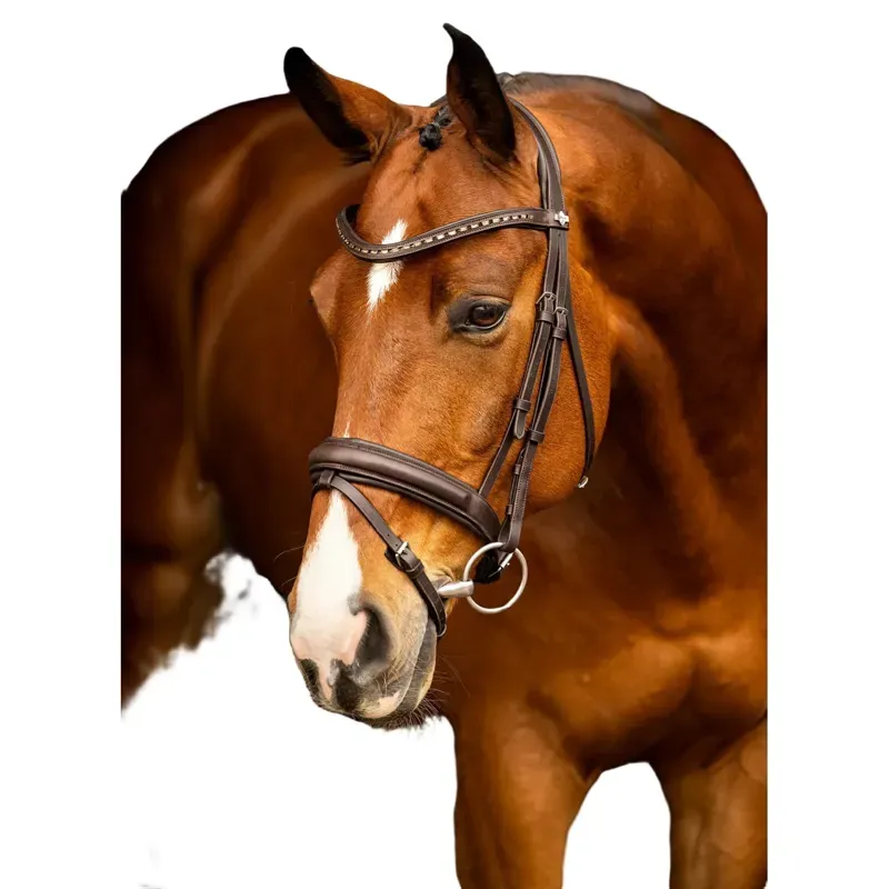 LeMieux Arika Dressage Bridle in Brown and Silver-1