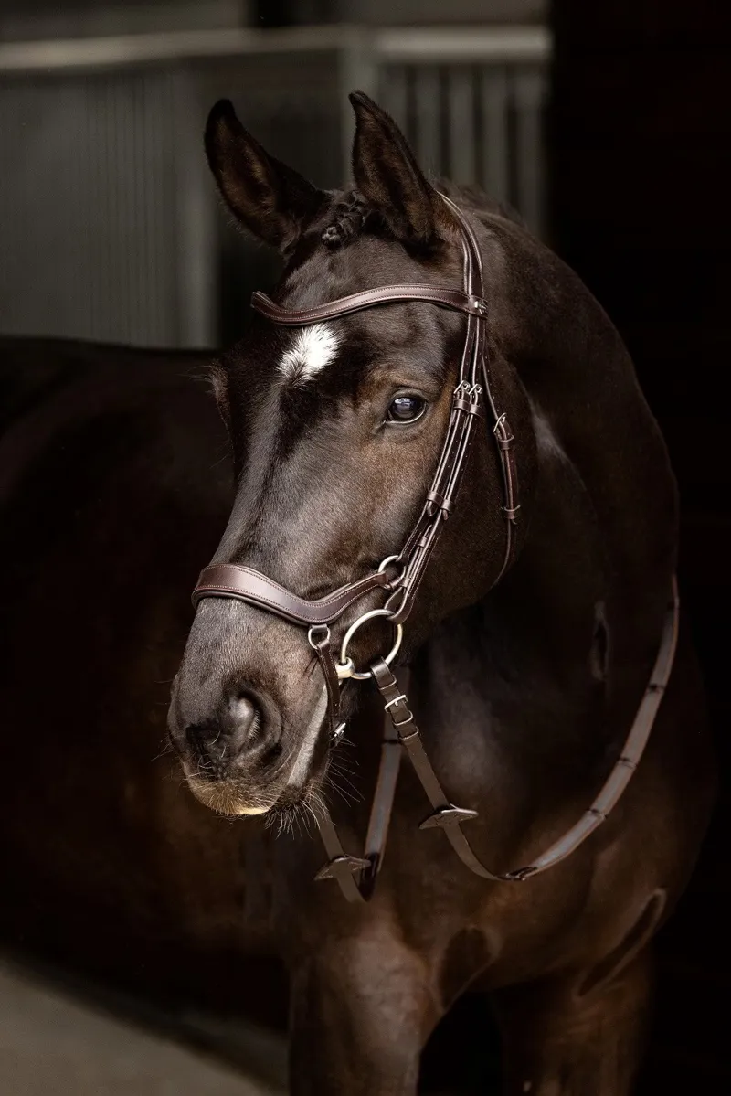 LeMieux Arika Drop Bridle in Brown and Silver-2