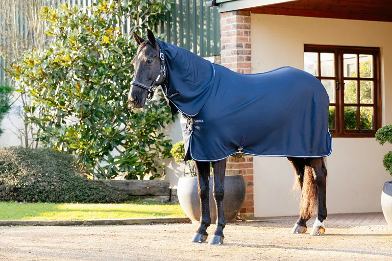 LeMieux Arika DryEase Rug in Navy