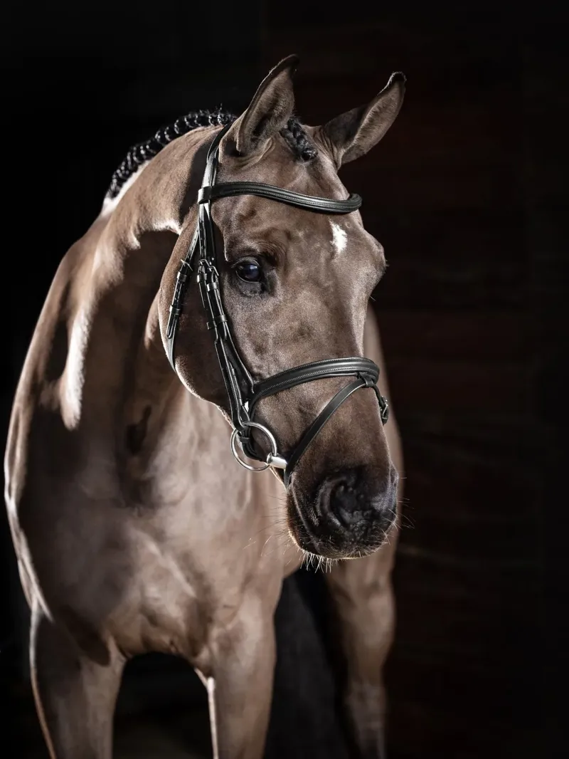 LeMieux Arika Flash Bridle - Black and Silver-2