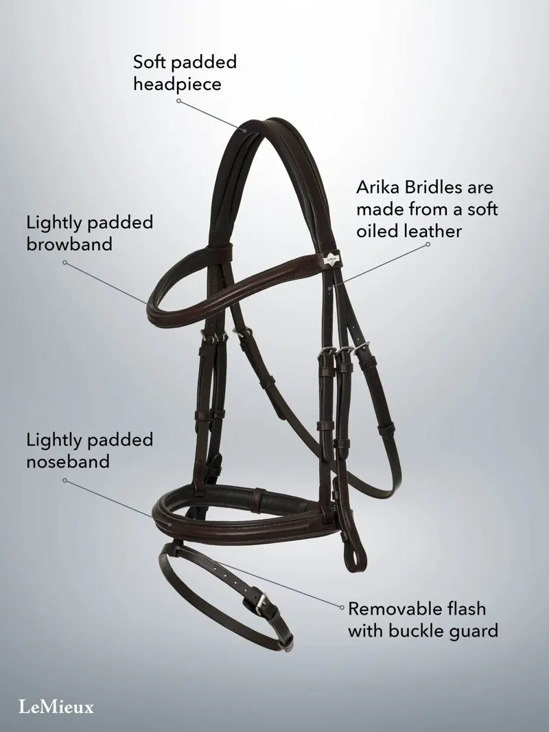 LeMieux Arika Flash Bridle - Black and Silver-3