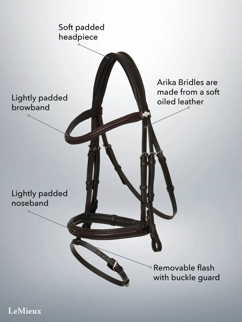 LeMieux Arika Flash Bridle - Black and Silver-2