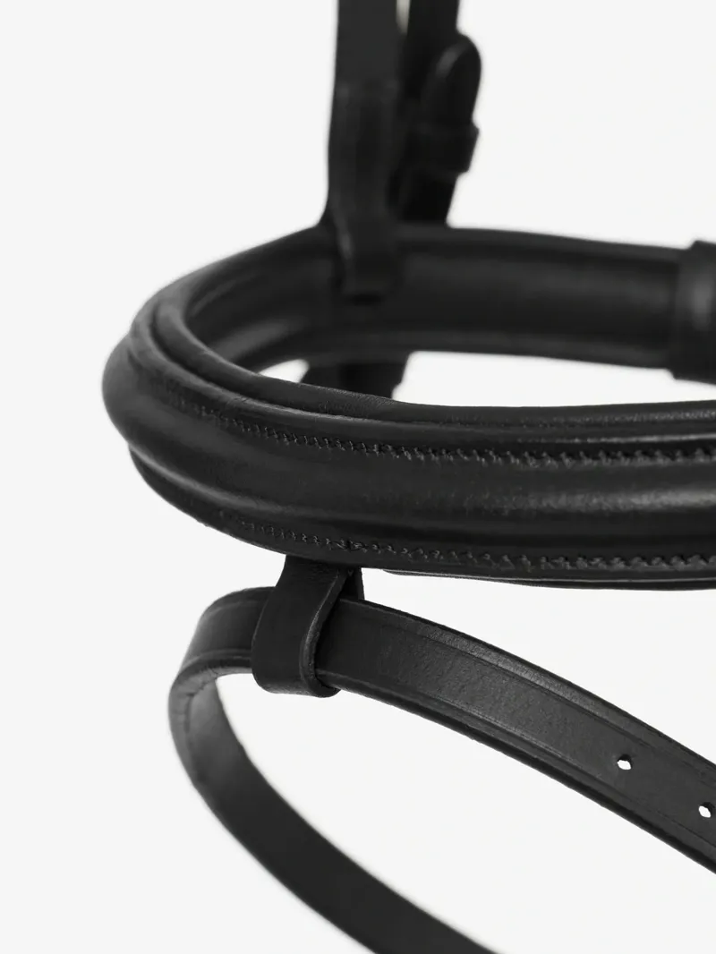 LeMieux Arika Flash Bridle - Black and Silver-4