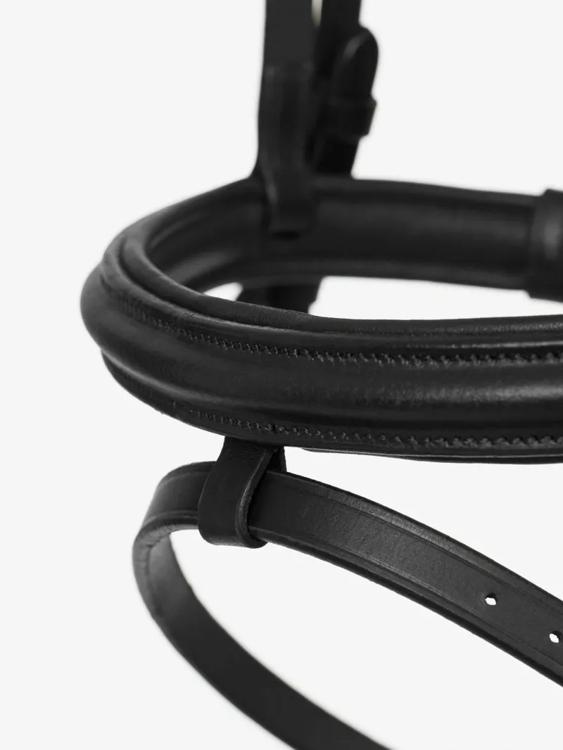 LeMieux Arika Flash Bridle - Black and Silver-3