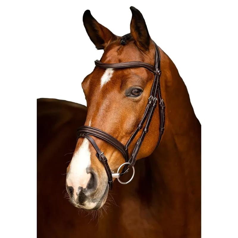 LeMieux Arika Flash Bridle - Brown and Silver-2