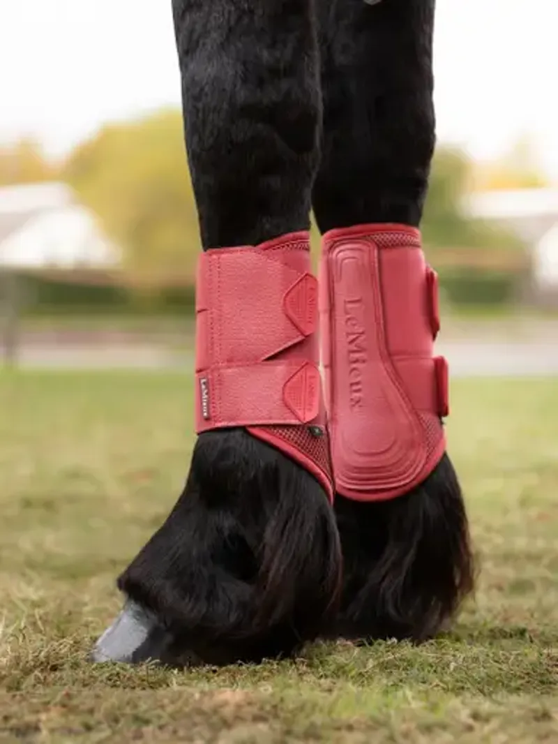 LeMieux Arika Mesh Brushing Boots in Cranberry-2