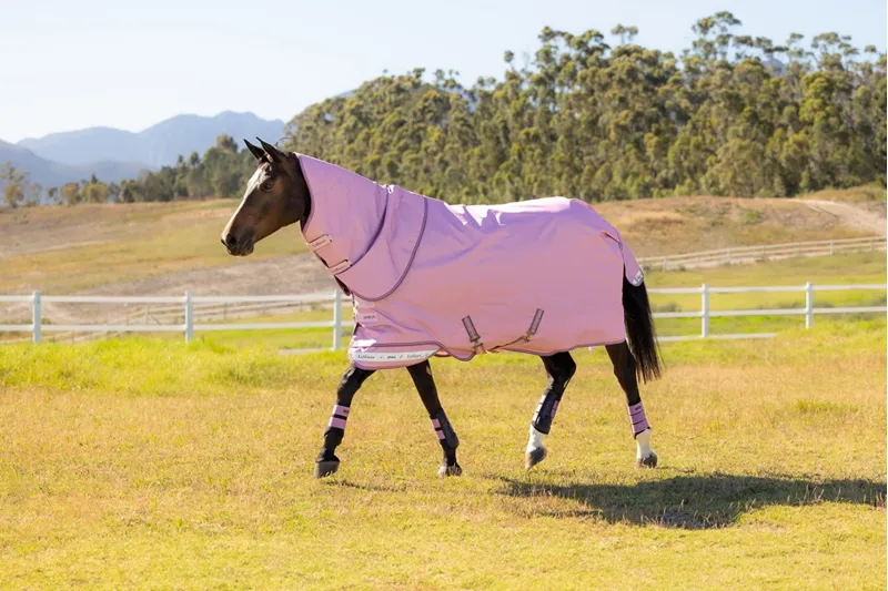 LeMieux Arika Ripstop 0g Turnout Rug in Fondant-2