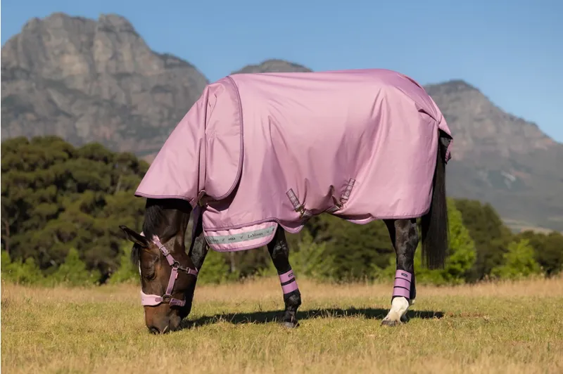 LeMieux Arika Ripstop 0g Turnout Rug in Fondant-3