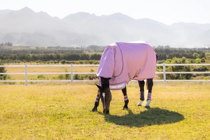 LeMieux Arika Ripstop 0g Turnout Rug in Fondant-8