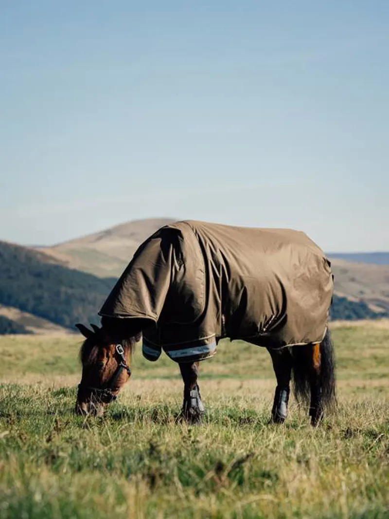 LeMieux Arika Ripstop 50g Turnout Rug in Alpine-2