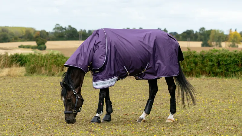 LeMieux Arika Ripstop Turnout Rug 100g in Juniper-3