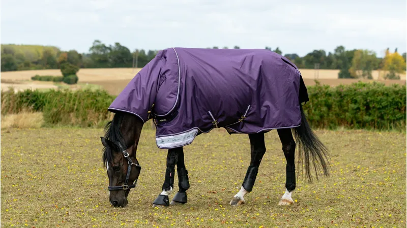 LeMieux Arika Ripstop Turnout Rug 0g in Juniper-3