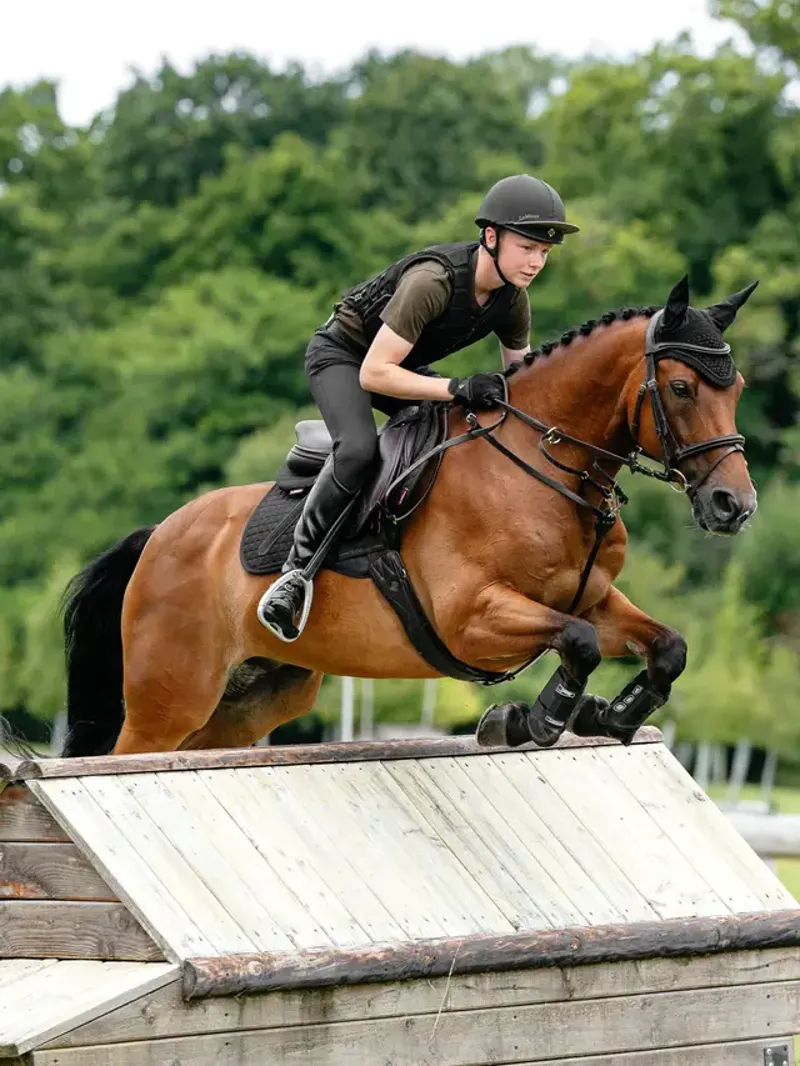 LeMieux Young Rider T-Shirt Boys in Alpine-4