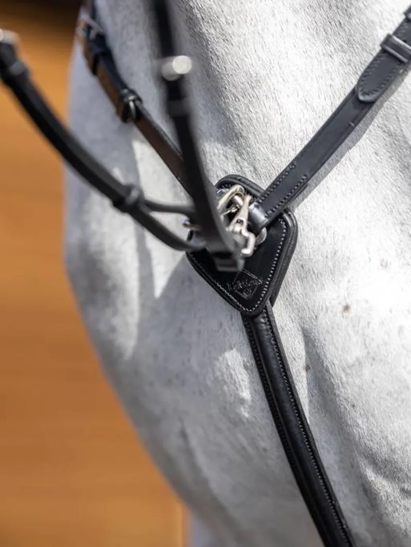 LeMieux Breastplate in Black-4