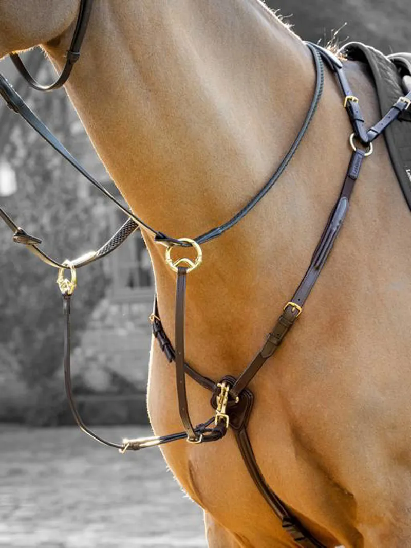 LeMieux Breastplate in Havana-2