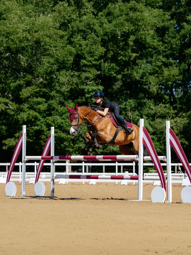 LeMieux Cotton Close Contact Square in Burgundy-1