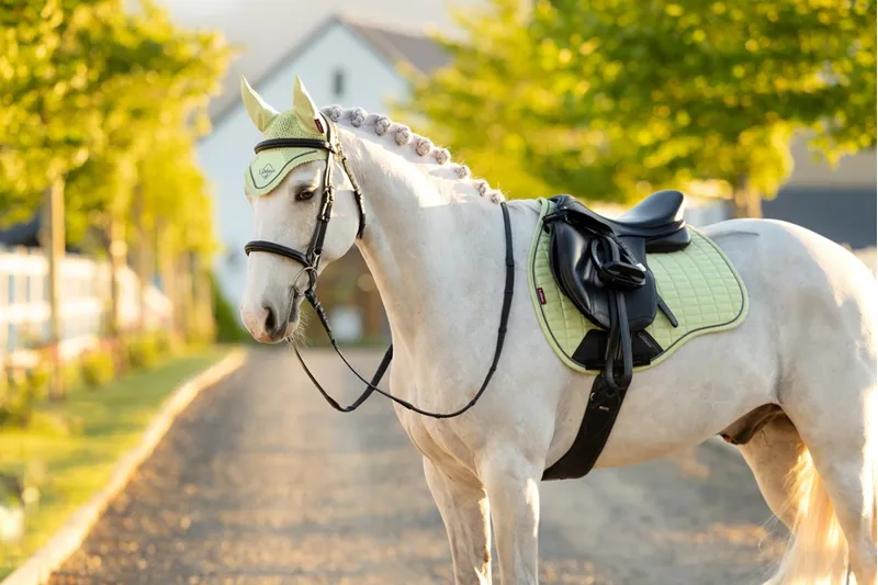 LeMieux Classic Fly Hood in Macaron-1