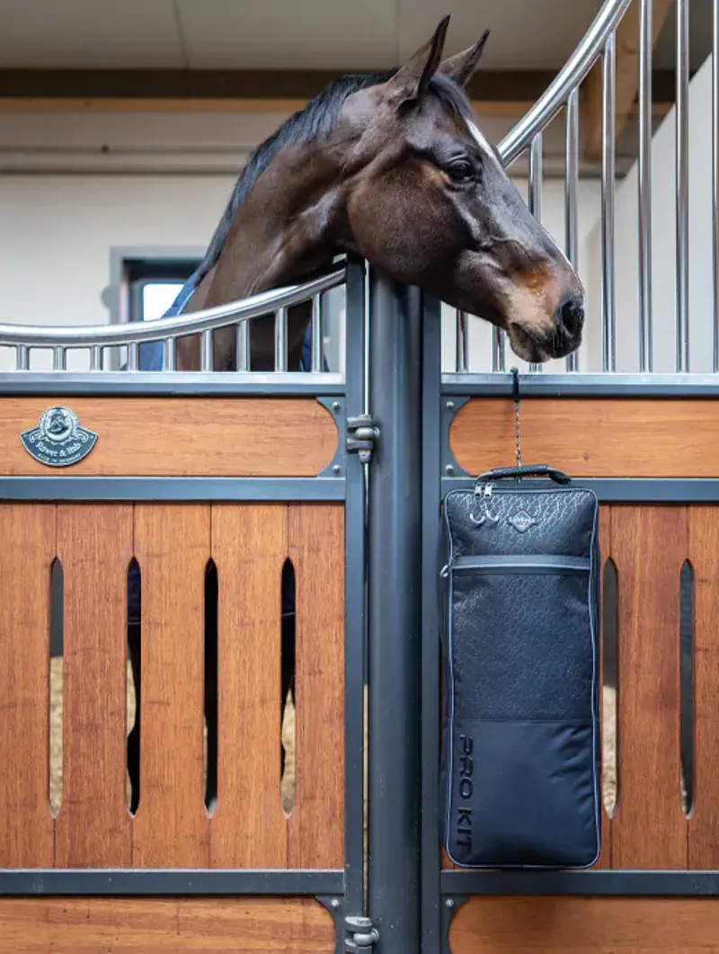 LeMieux Elite Pro Bridle Bag in Black-3