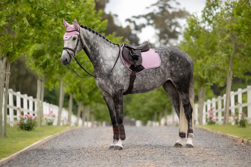 LeMieux Essence Close Contact Square in Fondant-2