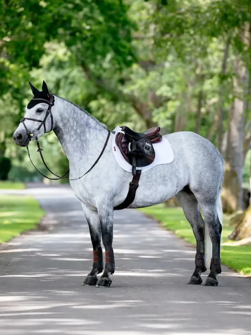 LeMieux Classic Suede GP Pad in White-1