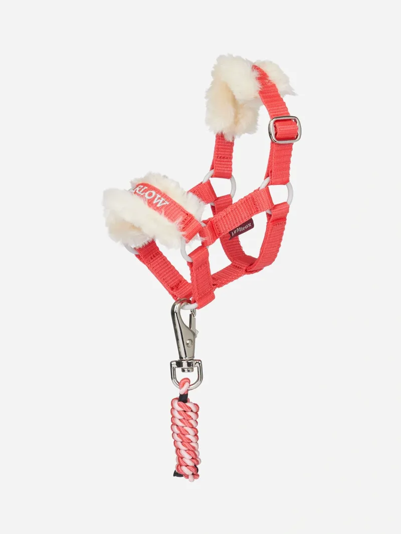 LeMieux Harlow Toy Pony Headcollar and Leadrope in Coral Crush