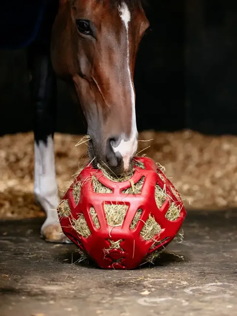 LeMieux Hay Ball in Chilli-2