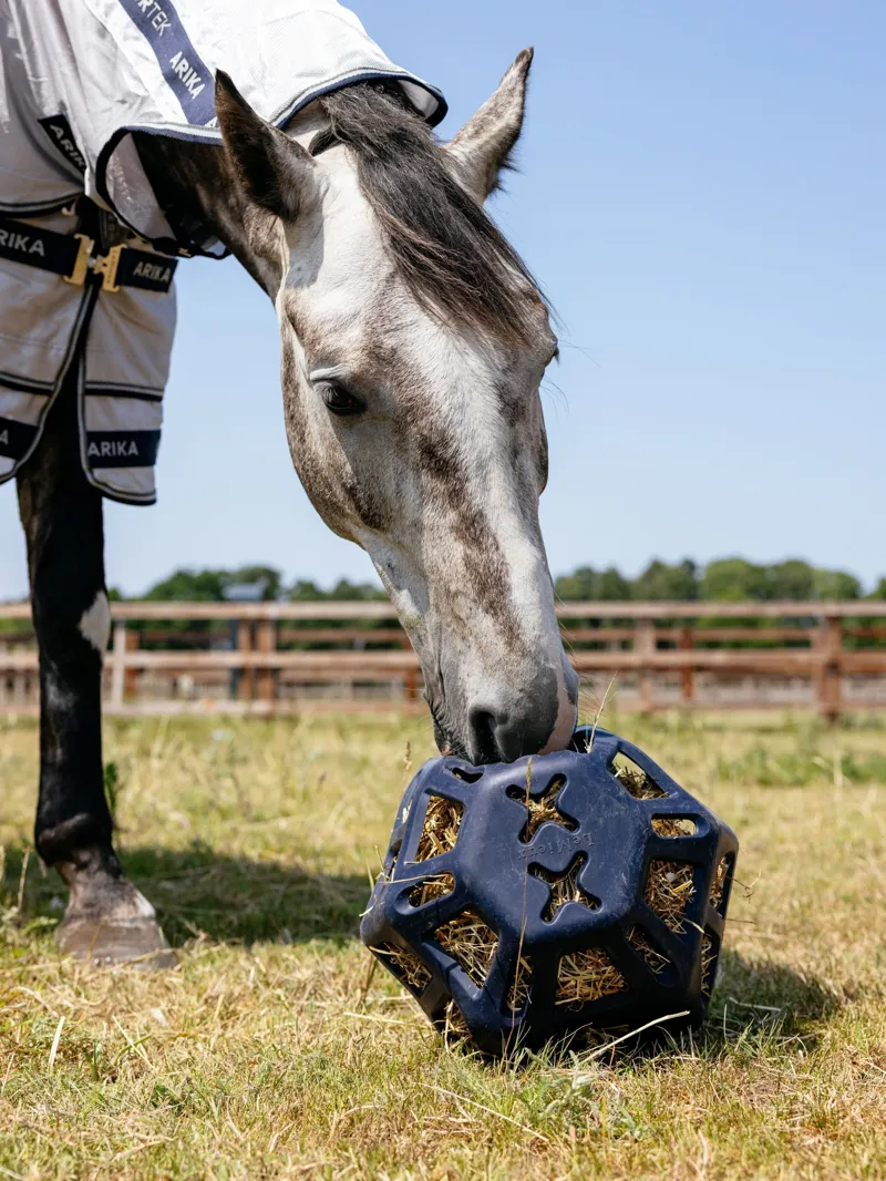 LeMieux Hay Ball in Navy-2
