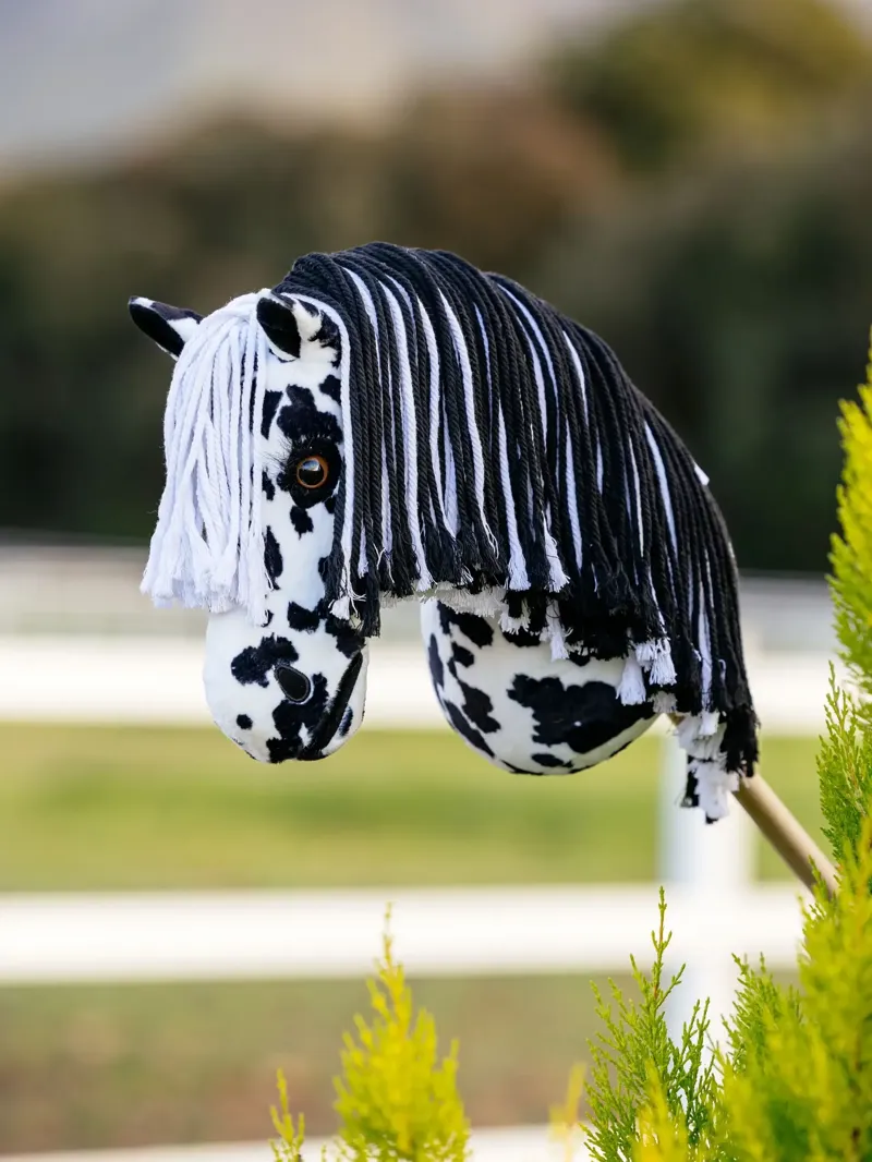 LeMieux Hobby Horse Dakota-2