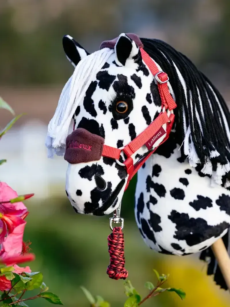 LeMieux Hobby Horse Dakota-3