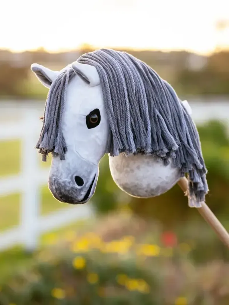 LeMieux Hobby Horse Earl-2