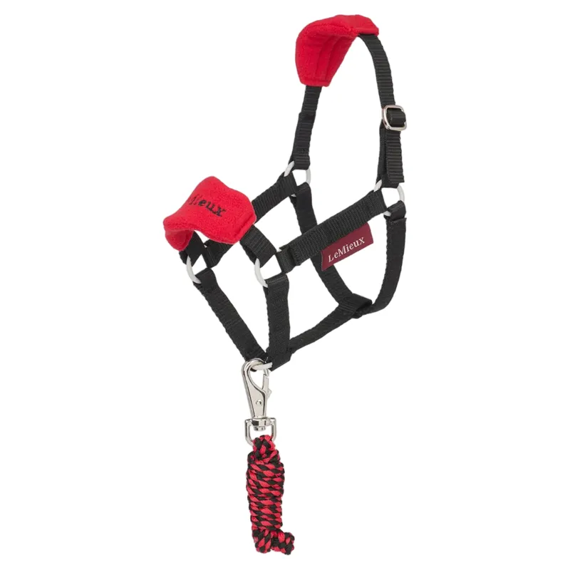 LeMieux Hobby Horse Vogue Headcollar and Leadrope Set in Chilli