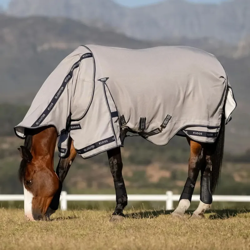 LeMieux Kudos AeroGuard Fly Rug - Silver-4