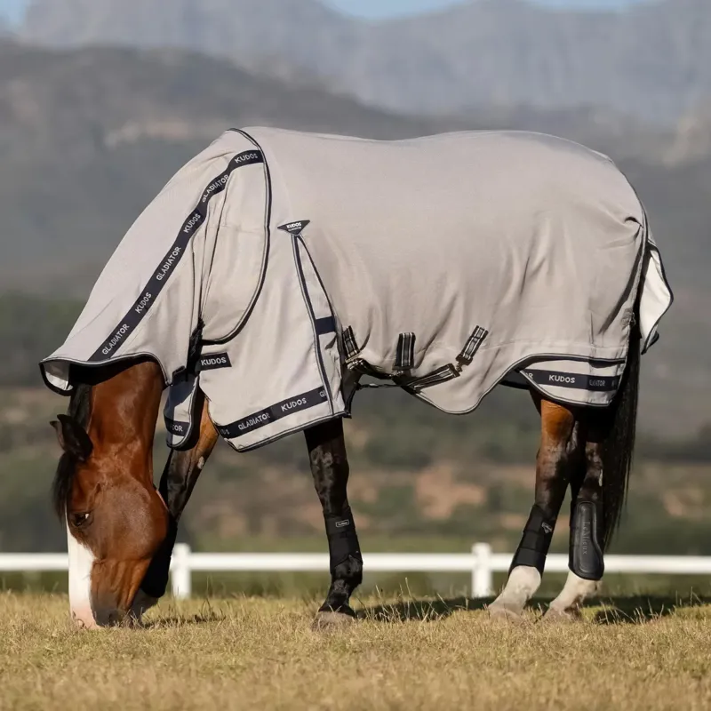 LeMieux Kudos AeroGuard Fly Rug - Silver-3
