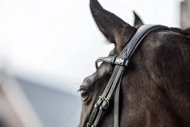 LeMieux Kudos Classic Dressage Bridle - Black-3
