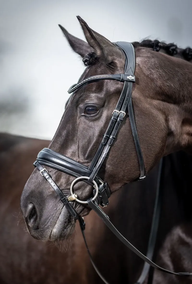 LeMieux Kudos Classic Dressage Bridle - Black-4