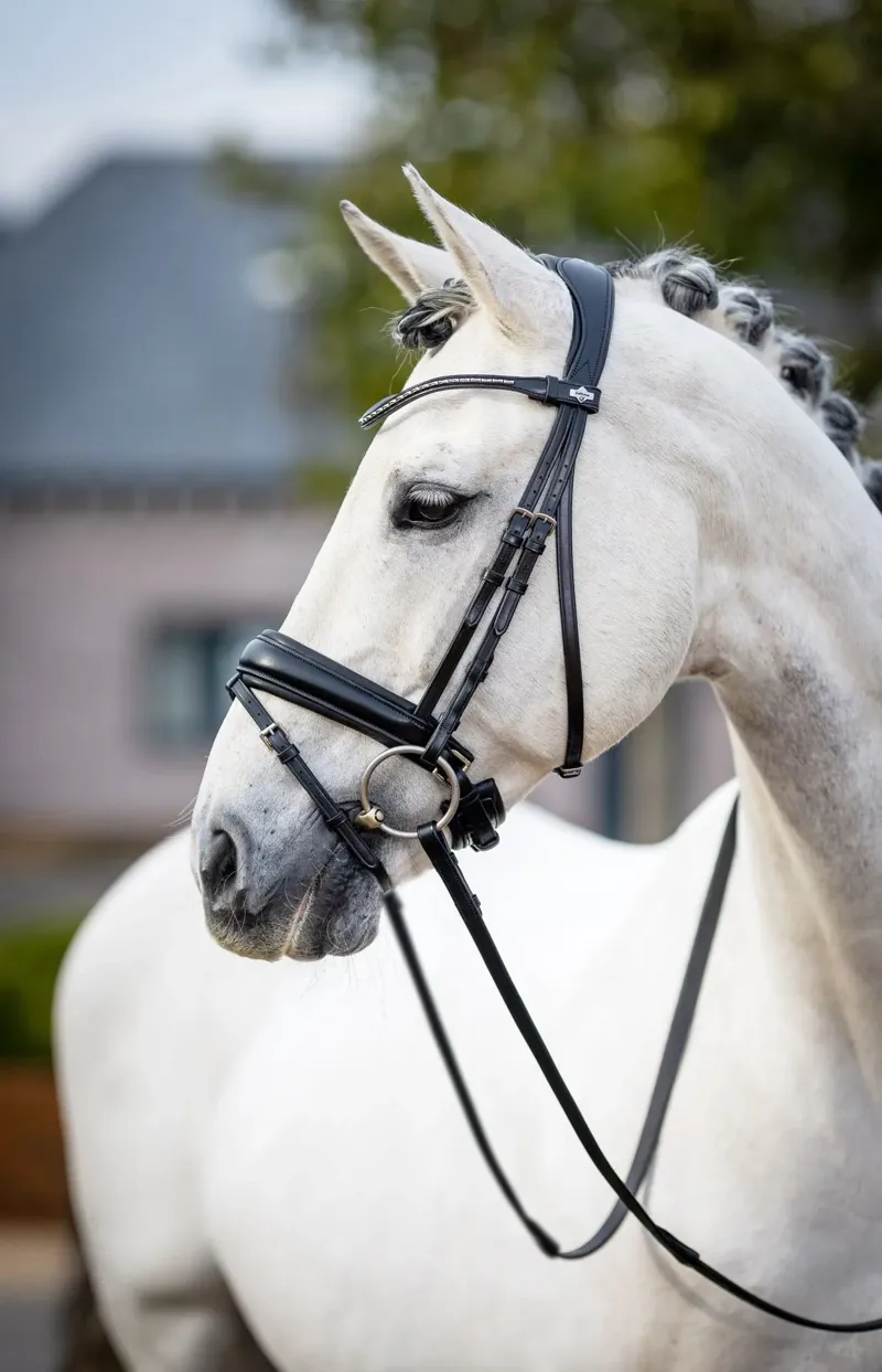 LeMieux Kudos Classic Dressage Bridle - Black-5
