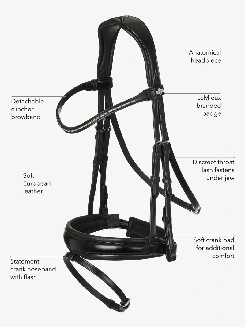 LeMieux Kudos Classic Dressage Bridle - Black-6