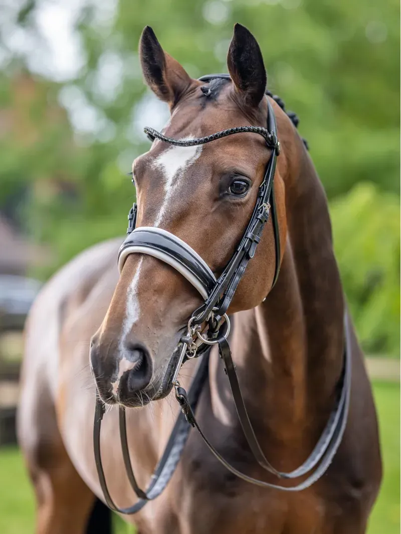 LeMieux Kudos Double Bridle - Black and White-1