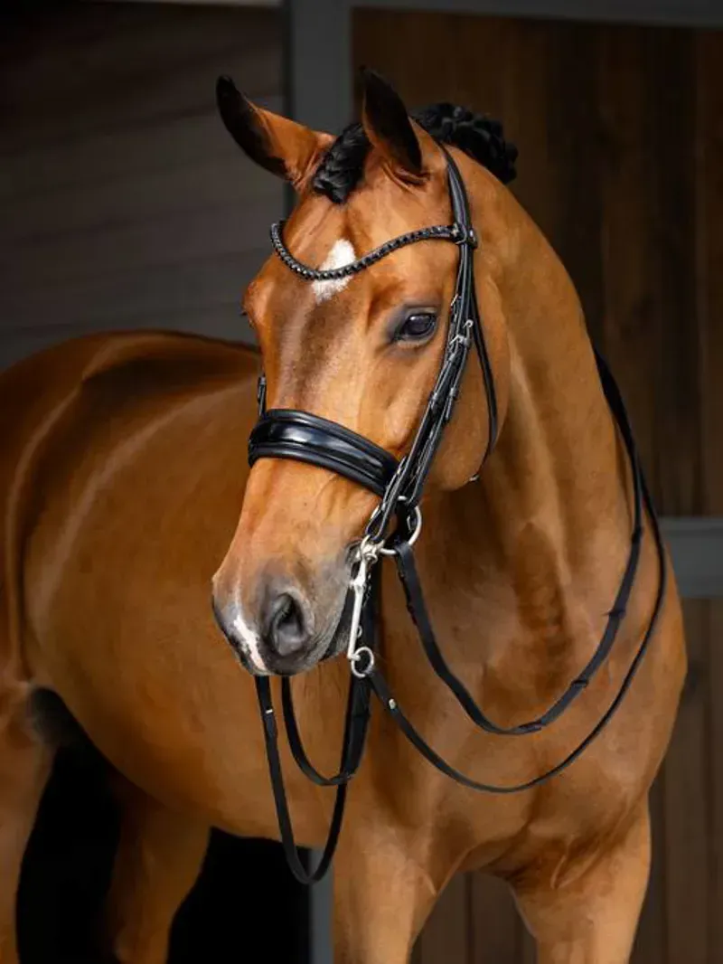 LeMieux Kudos Double Bridle - Black-2