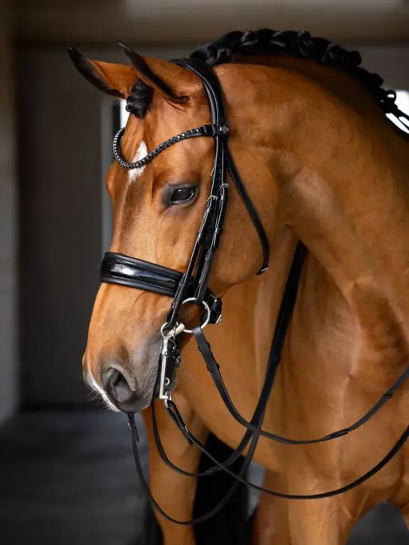 LeMieux Kudos Double Bridle - Black-4