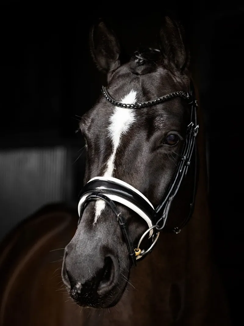 LeMieux Kudos Patent Rolled Dressage Bridle - Black and White-3