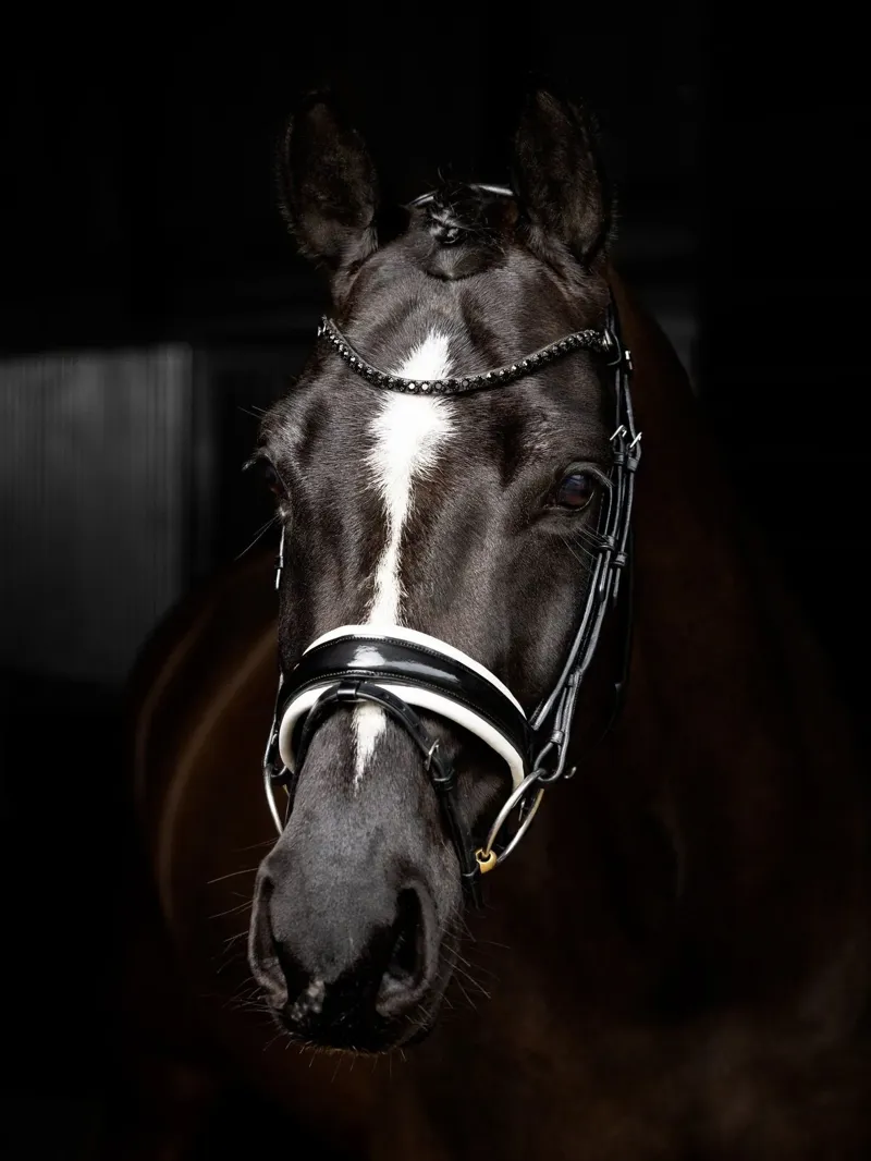 LeMieux Kudos Patent Rolled Dressage Bridle - Black and White-4