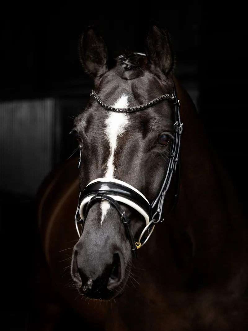 LeMieux Kudos Patent Rolled Dressage Bridle - Black and White-3