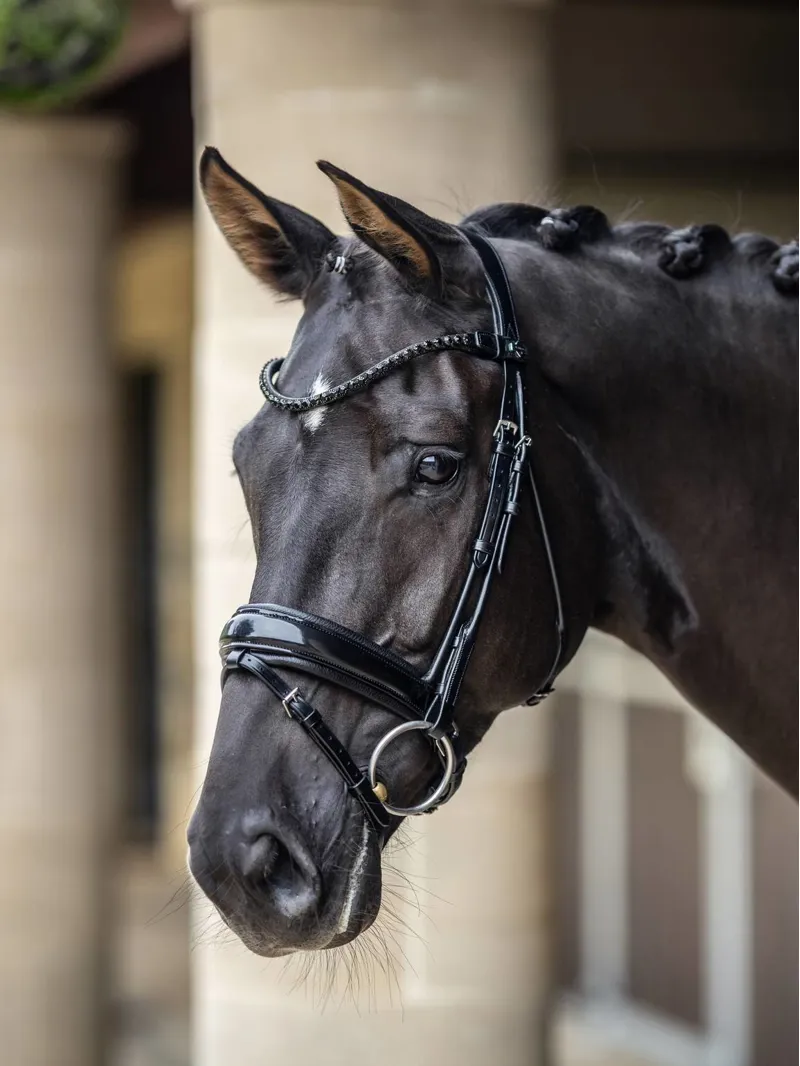 LeMieux Kudos Patent Dressage Bridle in Black-2