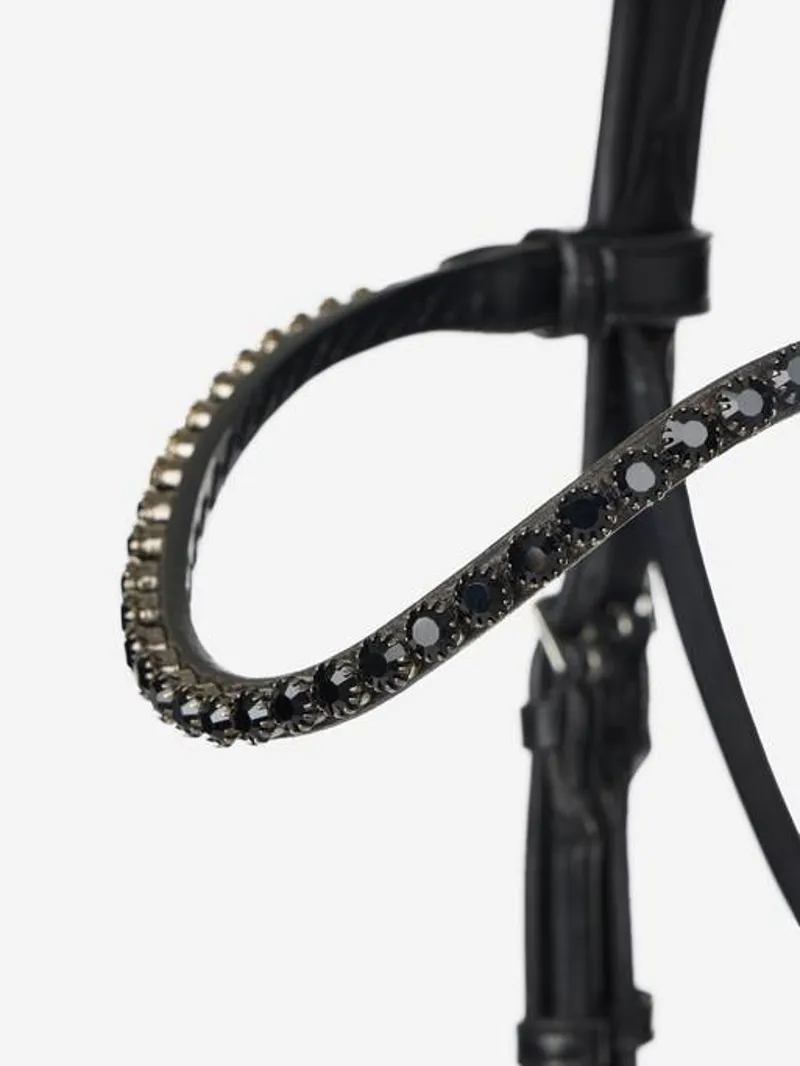 LeMieux Kudos Patent Dressage Bridle in Black-6